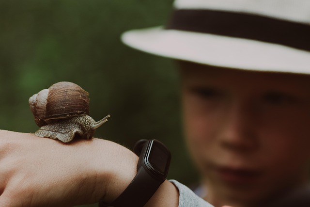 Żółwie tempo zabija sprzedaż